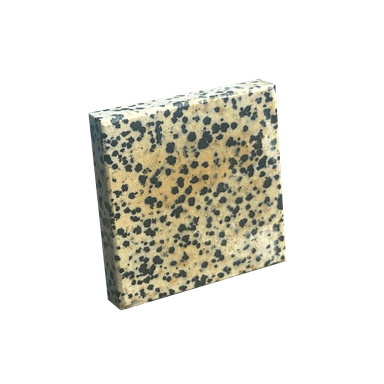 Dalmatian Jasper